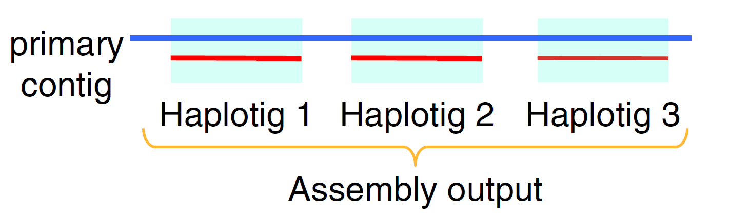 Falcon-Unzip output