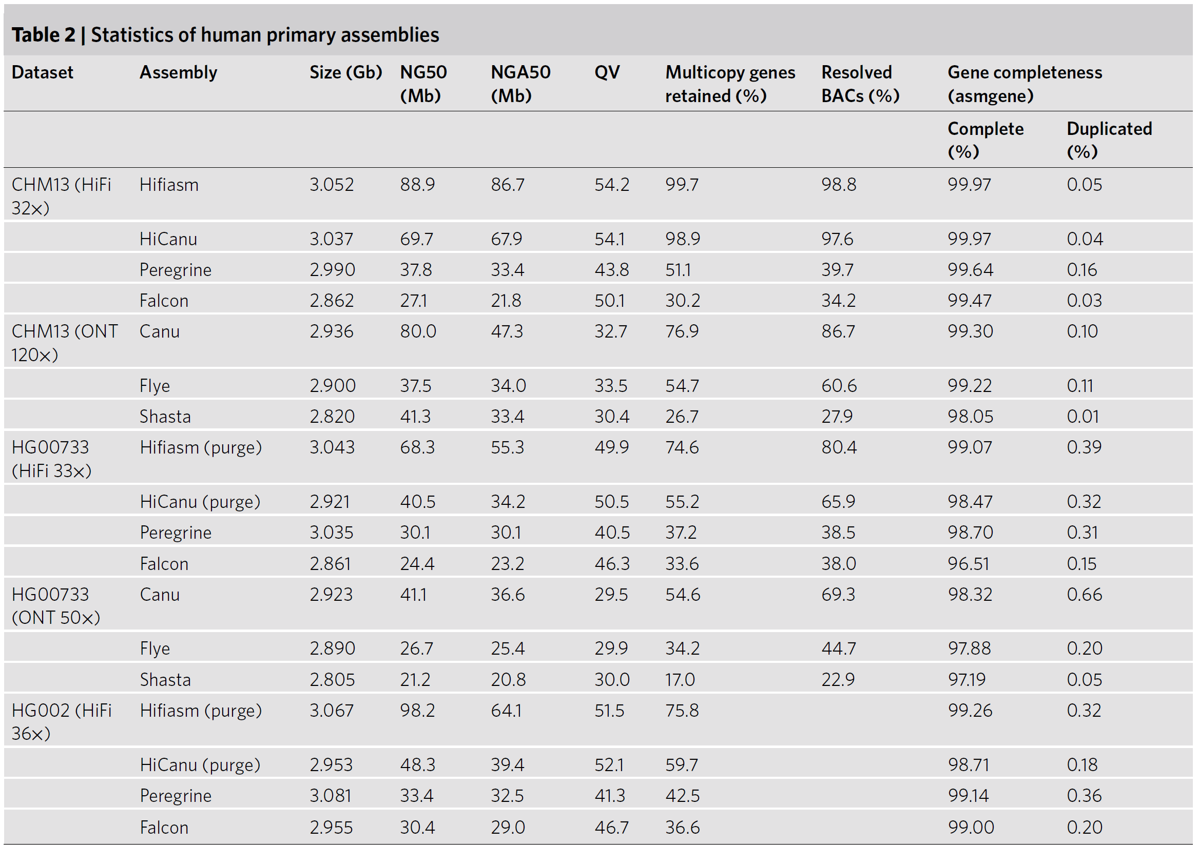 Statistics of human primary assemblies